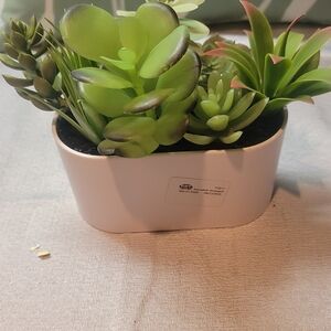 Artificial Succulent Arrangement in White Planter